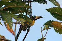 �������������