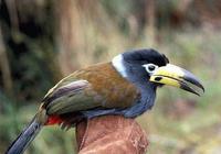 ��ɽ�������ͼƬ