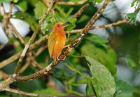 ���޼���ľ���ͼƬ