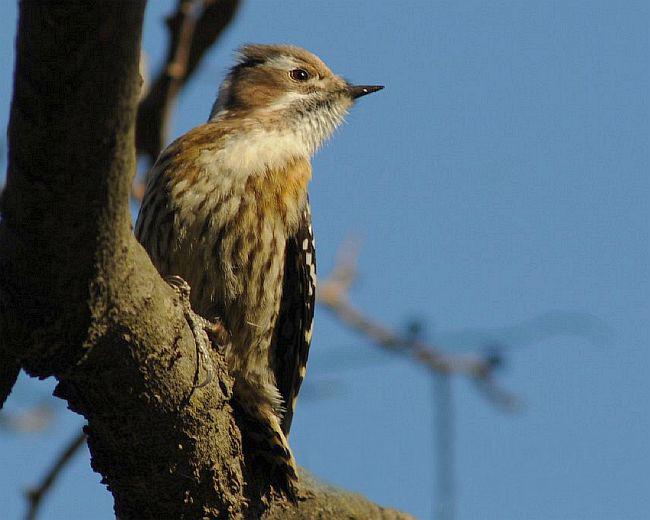 ٪����ľ���ͼƬ