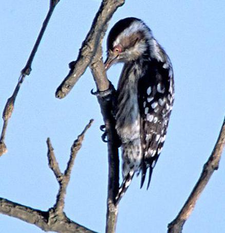 ٪����ľ��