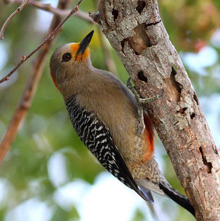 ٪����ľ��