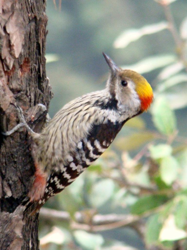 �ֶ���ľ���ͼƬ