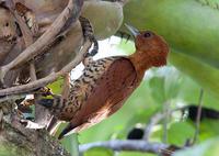 �����ľ���ͼƬ