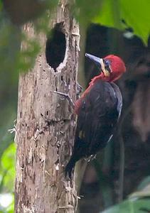 �츹��ľ���ͼƬ