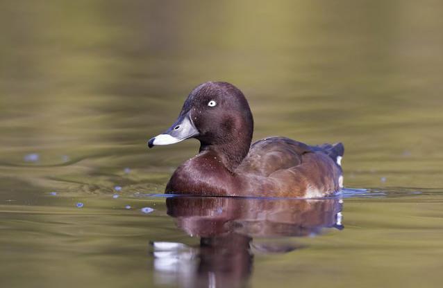 ����ǱѼ��ͼƬ