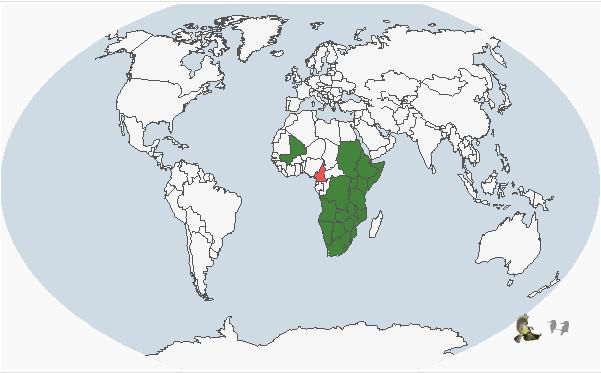 ���޻���Ѽ