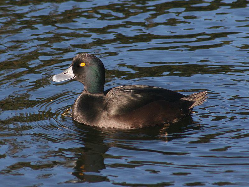 ������ǱѼ��ͼƬ