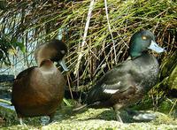 ������ǱѼ