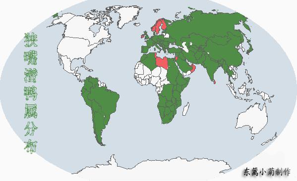 ����ǱѼ��