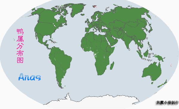 Ѽ�������ֲ�ͼ