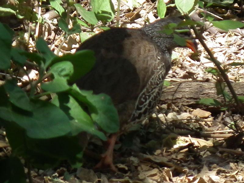 ϣ������ͼƬ