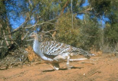 �۰�ڣ����ͼƬ