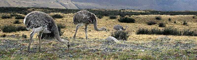 С�����ҵ�ͼƬ