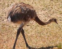 С������