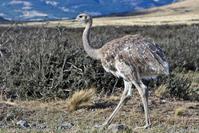 С������