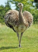 С������