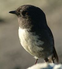 ��������l��ͼƬ