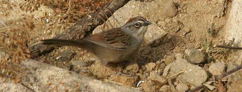 �߹���ȸ�c��ͼƬ