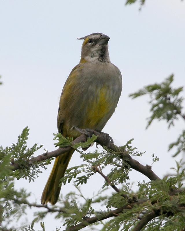 �ڹڻ�ȸ�c����ͼƬ