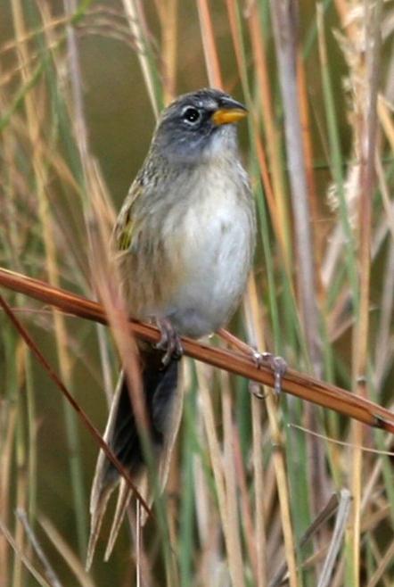 Шβ���c����ͼƬ