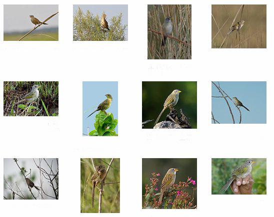 Шβ���c��