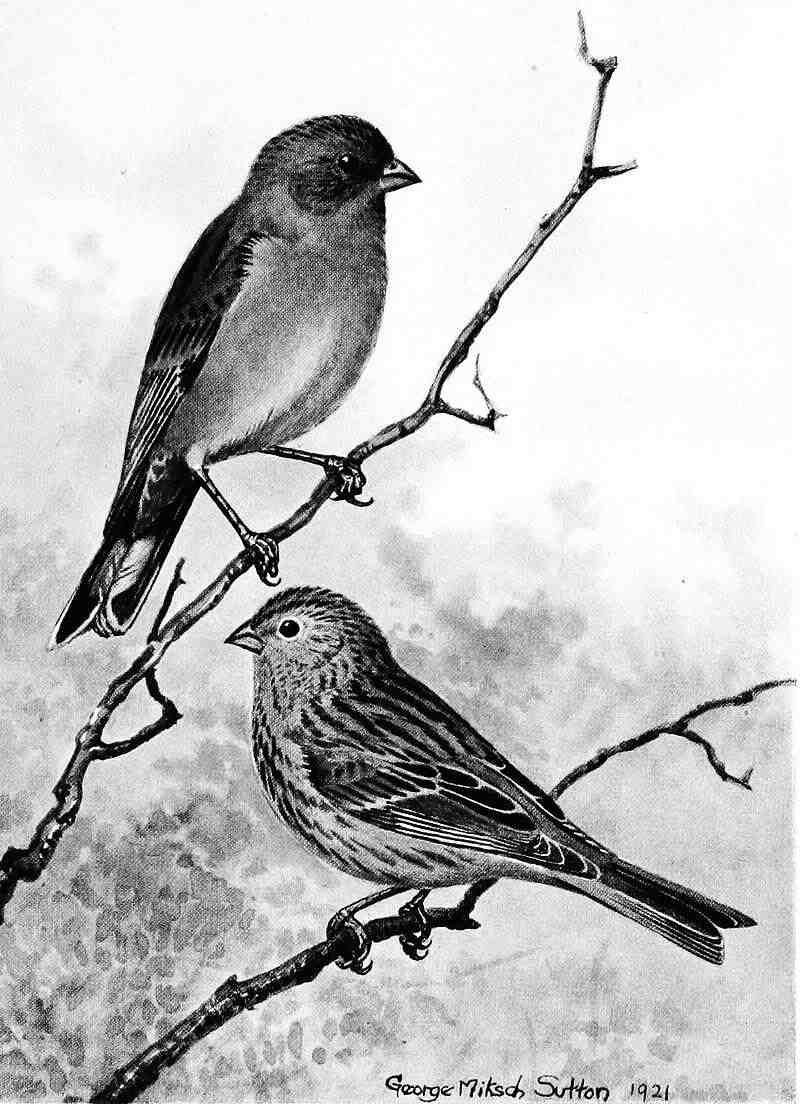 ��β����ȸ��ͼƬ