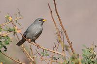 ϸ��ȸ�c��