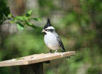 �ڹ�ȸ�c��