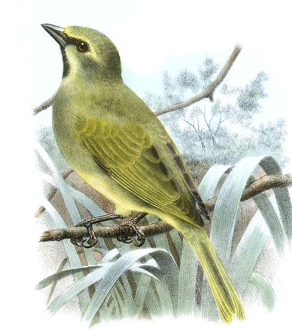 �߷�ȸ��ͼƬ