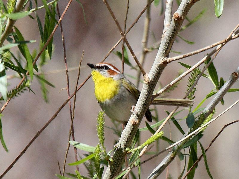 �ض���ɭݺ��ͼƬ