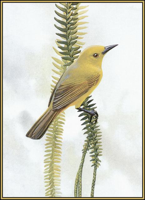 ��������ȸ