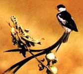 ��βά�����ͼƬ