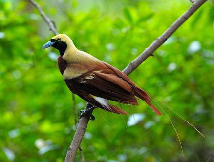 С�������ͼƬ