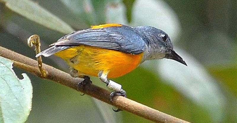 �Ļ�������ͼƬ