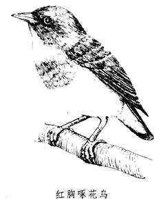 �Ļ�����