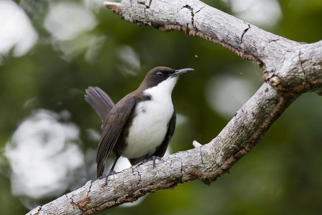 ���س���ͼƬ