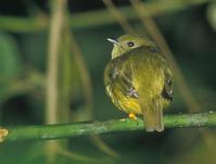 ��ͷ���l��ͼƬ