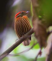 �����ƽ��l��ͼƬ