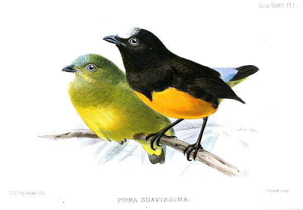 ���������l��ͼƬ