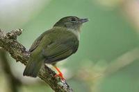 ����̽��l��ͼƬ