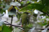 ��βʳ��ɡ��