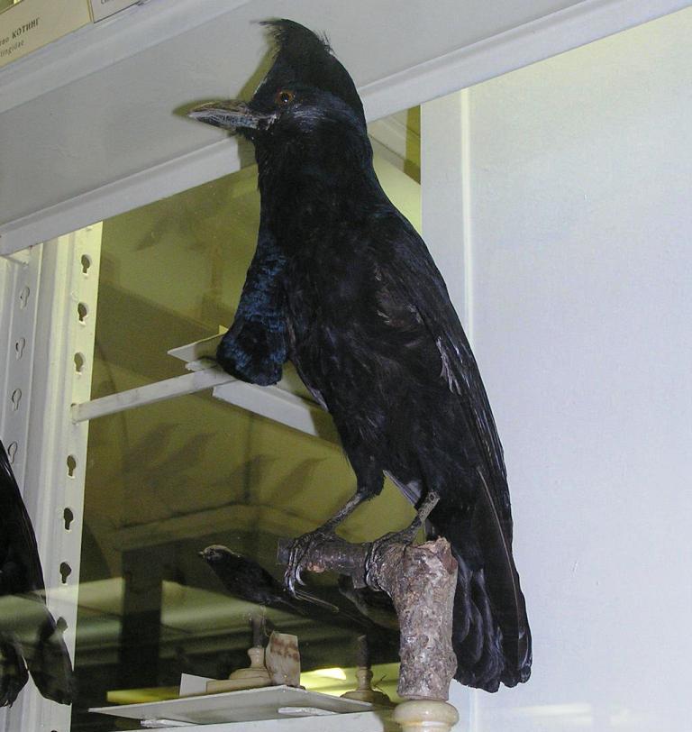 ����ѷɡ���ͼƬ