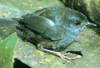 �ظش����ͼƬ