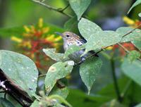 ̫ƽ���������ӵ�ͼƬ