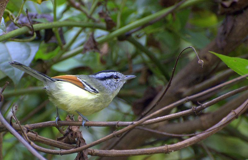 �س����ӵ�ͼƬ