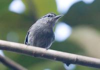 �ڶ����ӵ�ͼƬ