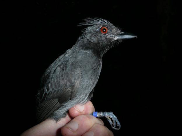 �ں����V��ͼƬ