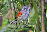 �ر����V��ͼƬ