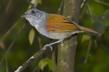 �����V��ͼƬ